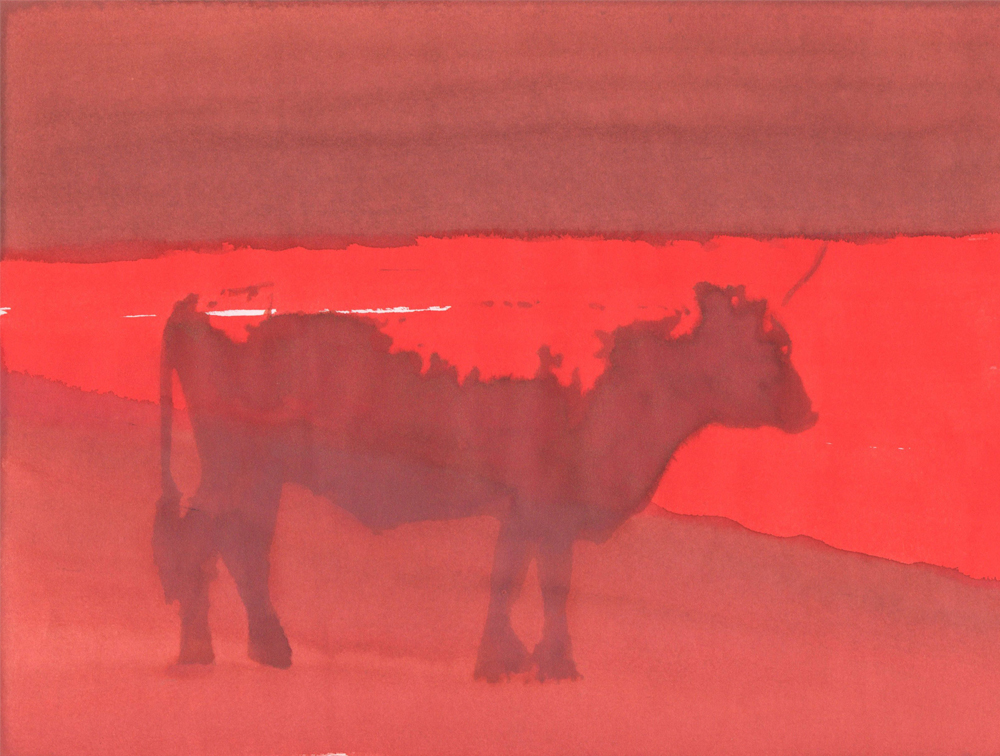 rode koe op papier